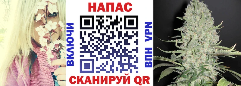 Канабис семена  цена наркотик  mega   Губкин 